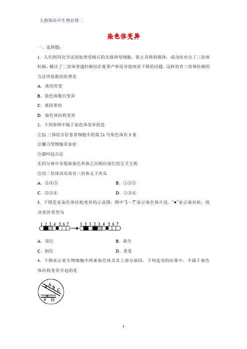 人教版(新教材)高中生物必修2练习21：5 2 染色体变异课时作业