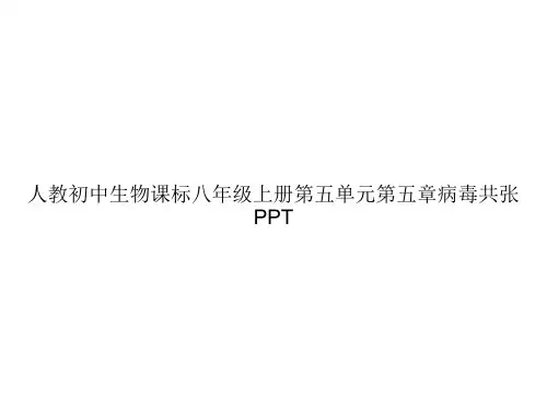 人教初中生物课标八年级上册第五单元第五章病毒共张PPTppt文档