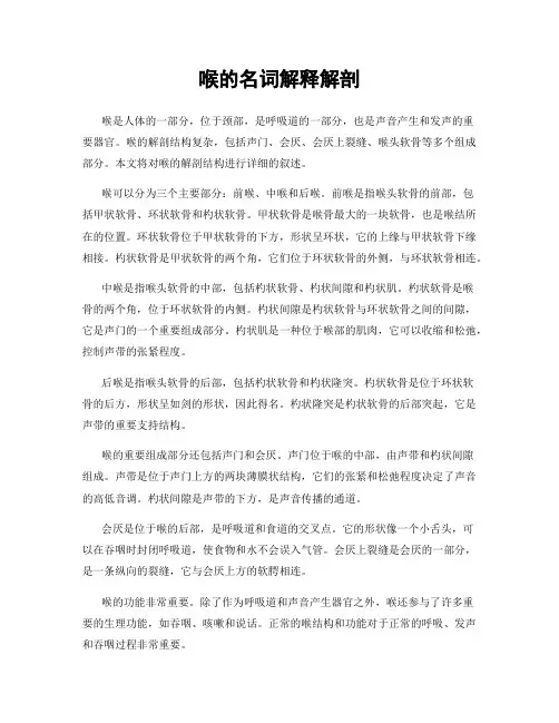 喉的名词解释解剖