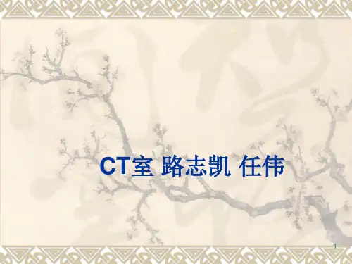 肺部疾病的专家讲解 PPT课件