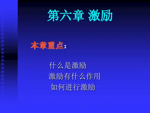 第六章-激励