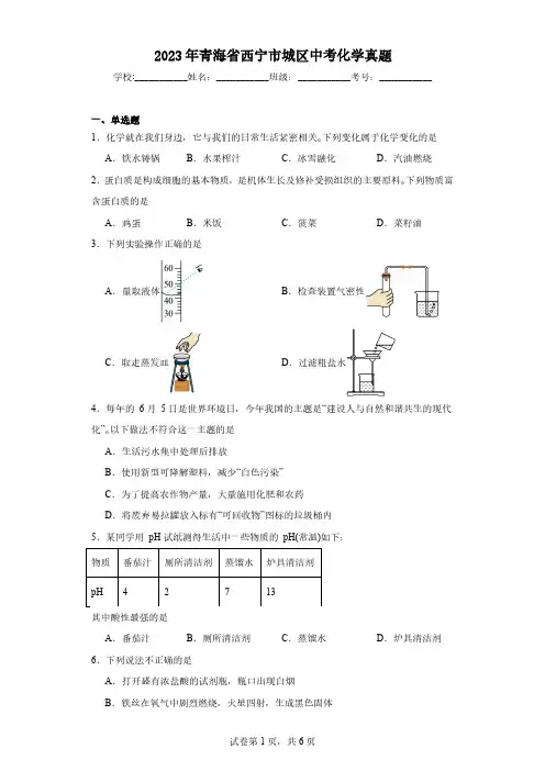 2023年青海省西宁市城区中考化学真题