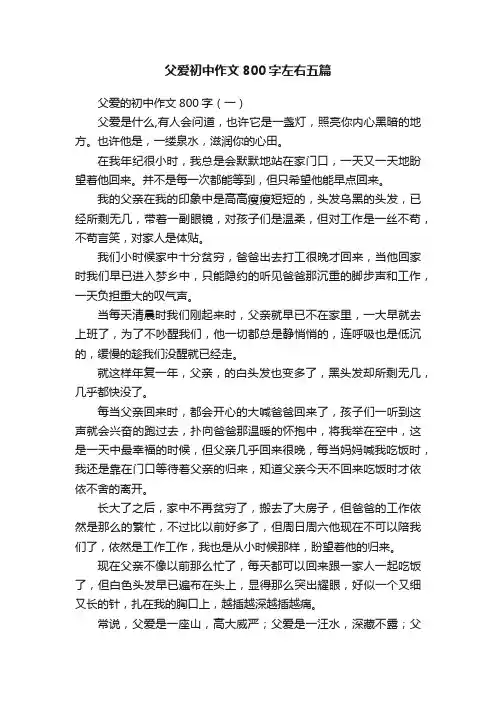 父爱初中作文800字左右五篇