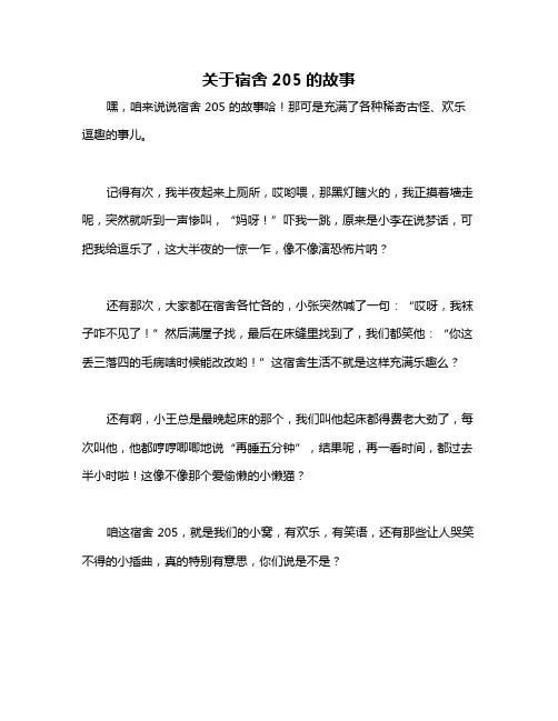 关于宿舍205的故事