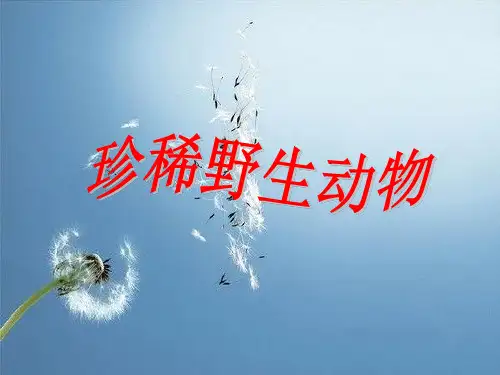 珍稀野生动物