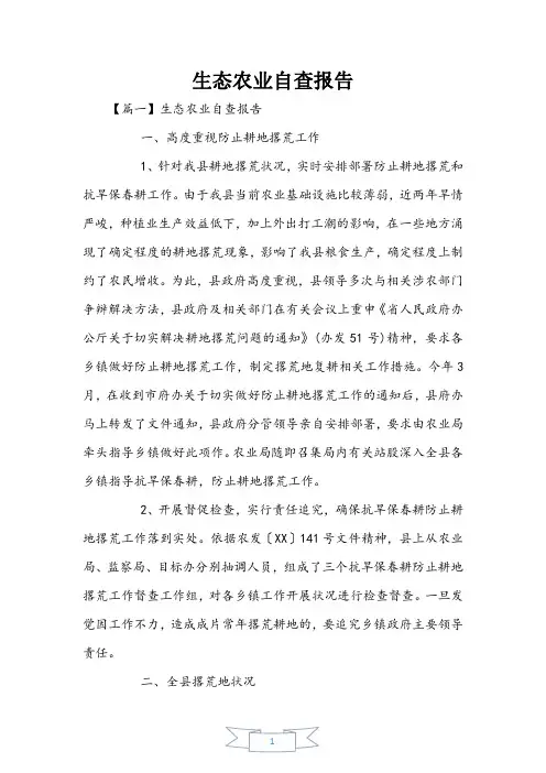 生态农业自查报告