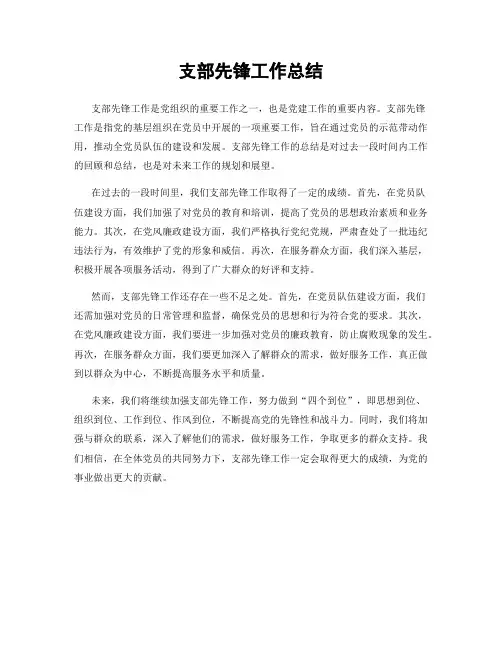 支部先锋工作总结
