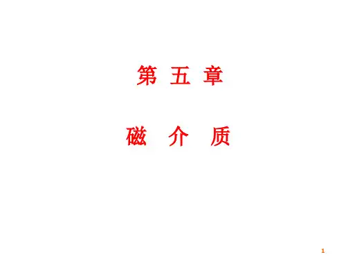5-磁介质