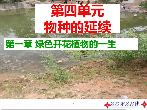 第一章《绿色植物的一生》PPT课件