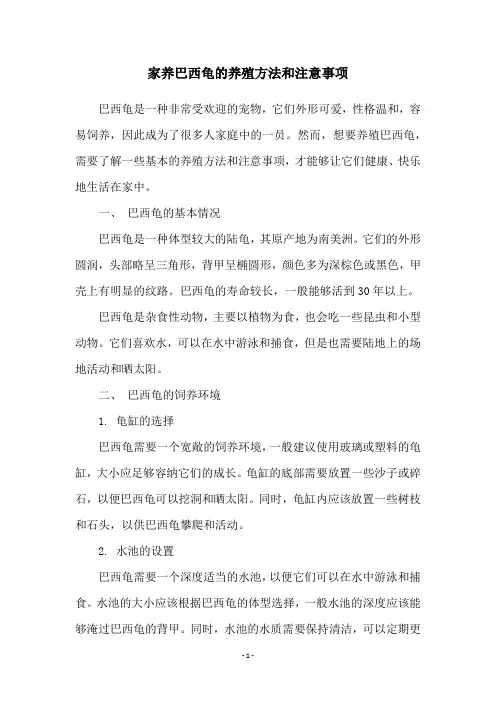 家养巴西龟的养殖方法和注意事项