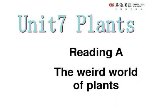(上海)牛津版九年级上册Unit7 Reading A
