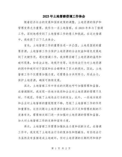2023年土地督察借调工作体会