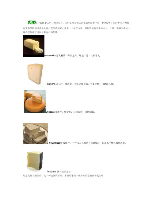 cheese 芝士《冷知识》