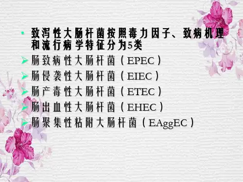 致泻性大肠杆菌检验技术