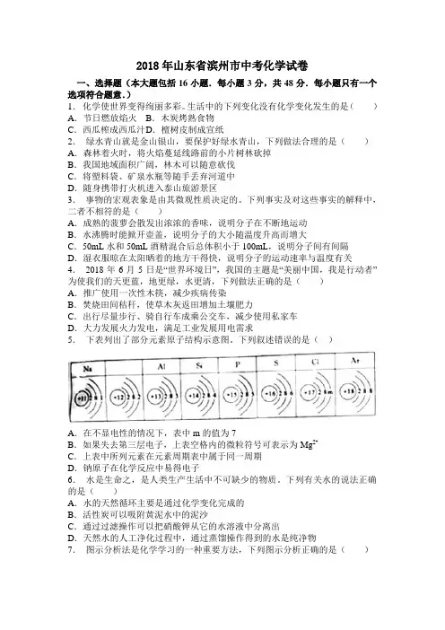 中考真题-2018年山东省滨州中考化学试题