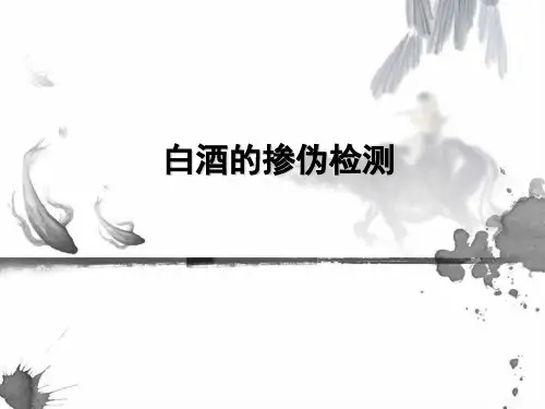 食品掺伪检测 PPT课件