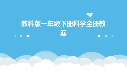 2024版教科版一年级下册科学全册教案