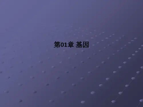 第01章-基因PPT课件