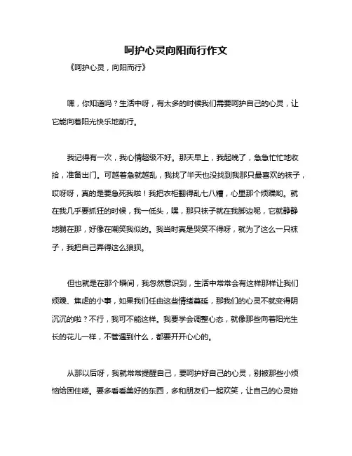呵护心灵向阳而行作文