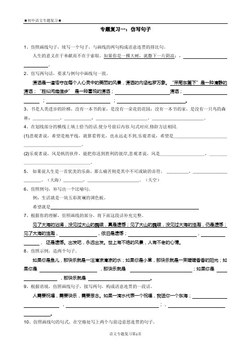 九年级语文专题复习