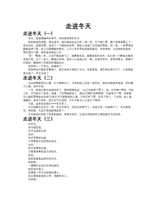 走进冬天作文共九篇
