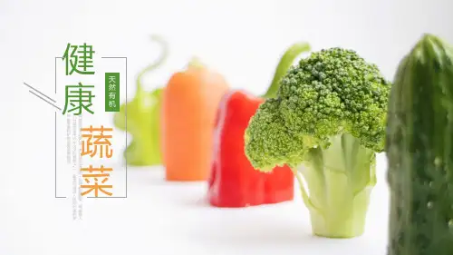 健康饮食食物营养搭配PPT模板