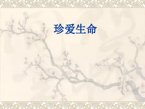 珍爱生命 远离毒品