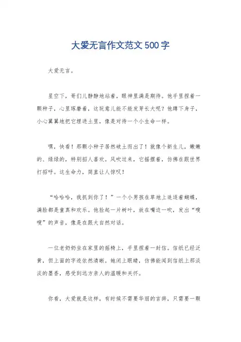 大爱无言作文范文500字