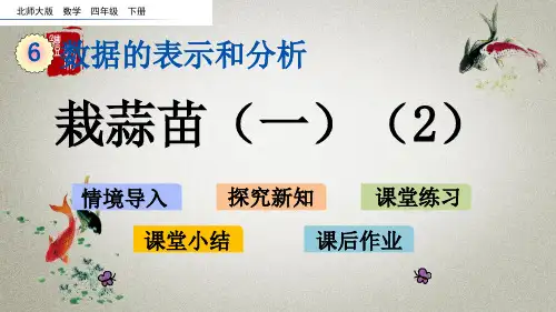 北师大版数学四年级下册《第六单元 数据的表示和分析栽蒜苗(一)(2)》课件
