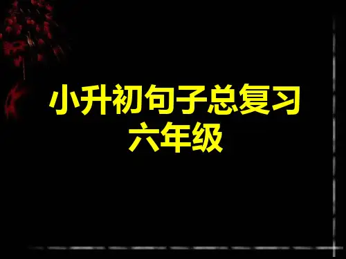 小学语文句子总复习ppt