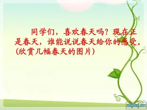 17触摸春天_PPT课件