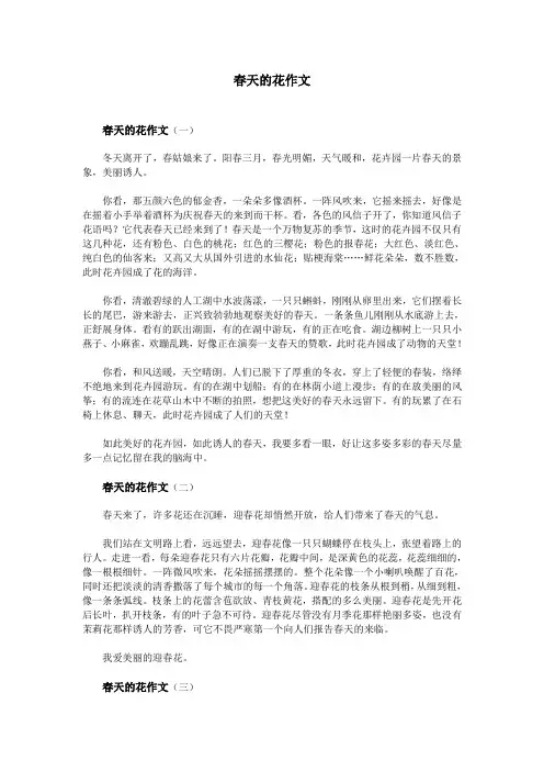 春天的花作文