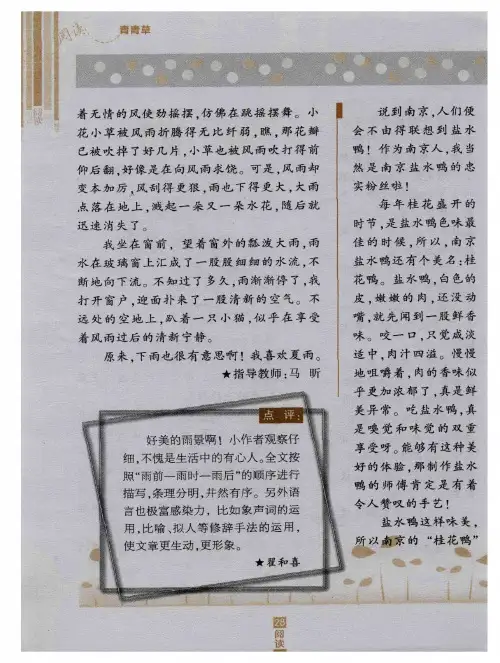 南京盐水鸭
