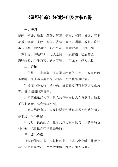 《绿野仙踪》好词好句及读书心得、手抄报内容