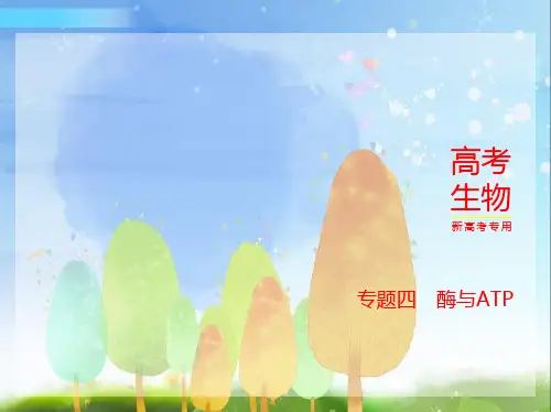 2024年新高考版生物1_04-专题四 酶与ATP