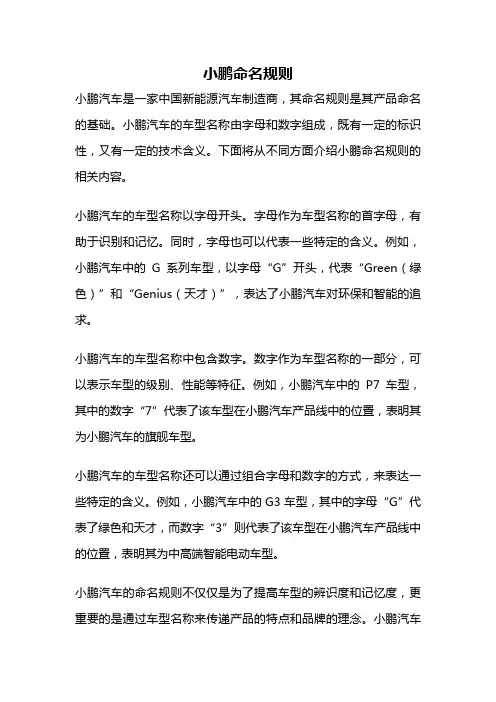 小鹏命名规则