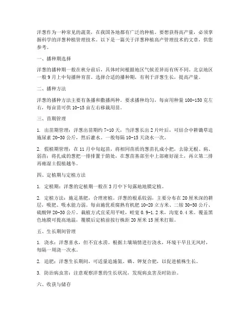 洋葱种植高产管理技术
