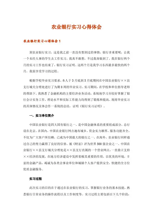 农业银行实习心得体会