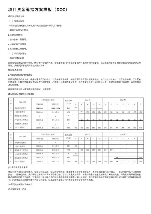 项目资金筹措方案样板（DOC）