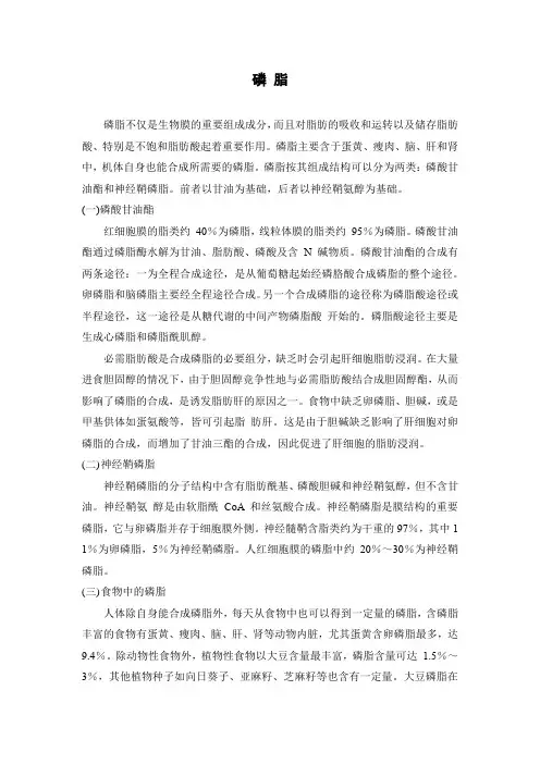 磷 脂