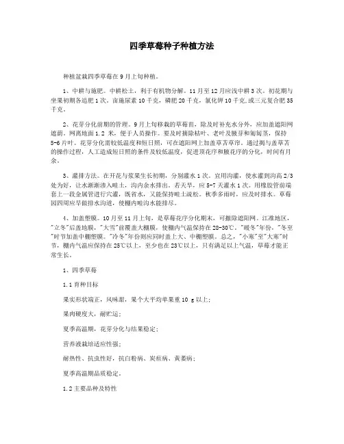 四季草莓种子种植方法