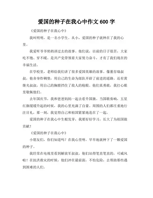 爱国的种子在我心中作文600字