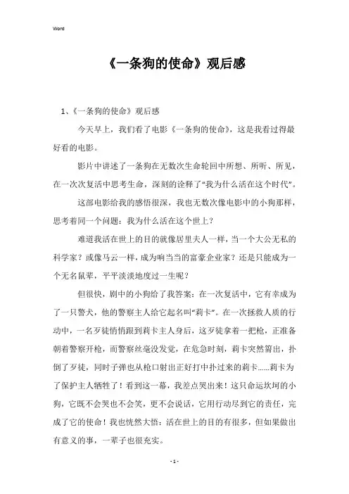 《一条狗的使命》观后感