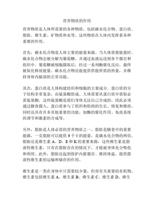 营养物质的作用