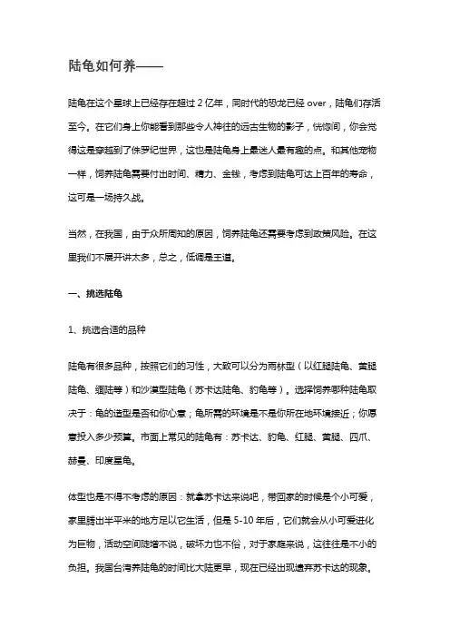 陆龟如何养