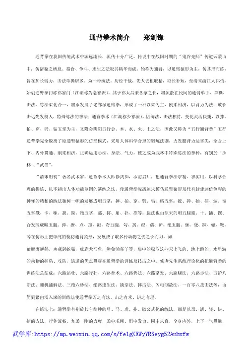 通背拳术精要