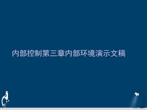 内部控制第三章内部环境演示文稿