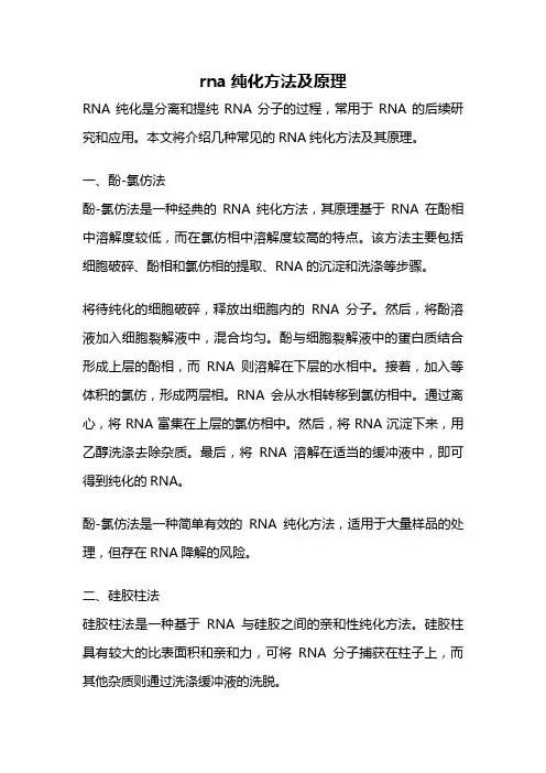rna纯化方法及原理