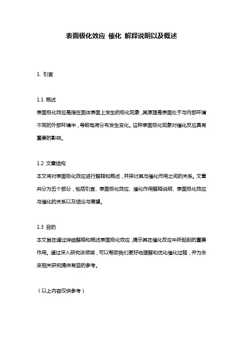 表面极化效应_催化_解释说明以及概述