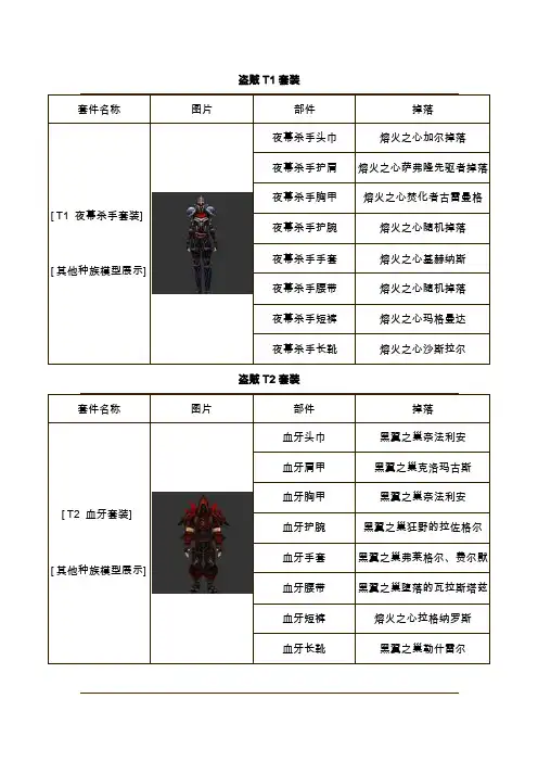 盗贼t1-t11套装